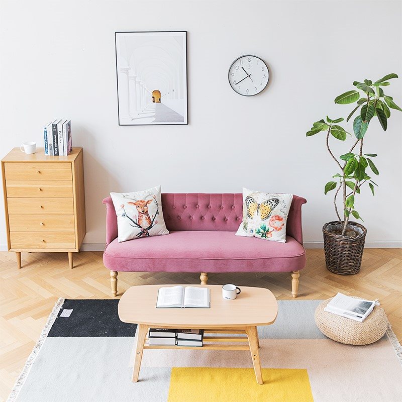 新品小户型二人位沙发轻奢t简约现代北欧网红款客厅卧室简易布艺
