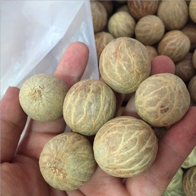 现货速发菩提根原子果白玉菩提子原籽手串项链108颗散珠菩提戒指d