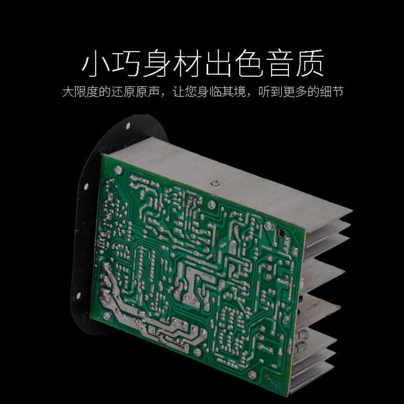 大功率12V220V200W全音纯低音炮功放板汽车车载有源音箱功放主板图片