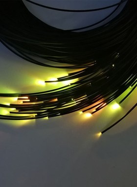 End Emitting 2mm PMMA Fiber Optic Lighting Cable with PVC Ja