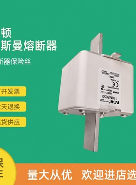 全新快速熔断器保险170M8607 170M8608 170M8609 170M8610