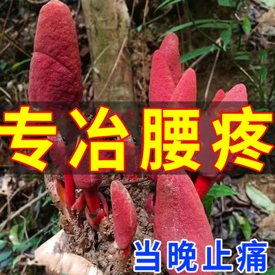 【专攻损间盘】腰椎贴腰间盘突出压迫神经腿腰麻肌劳U腰腰疼神器J