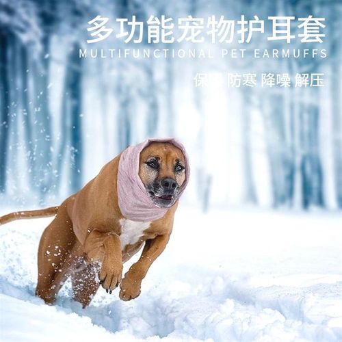 新品宠物耳套保暖防寒防冻宠物耳朵头套高弹保暖户外出行宠物耳罩