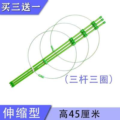 速发玫瑰藤本月季爬藤类文竹藤阳台拱门花架铁艺攀爬网格蔷薇攀爬