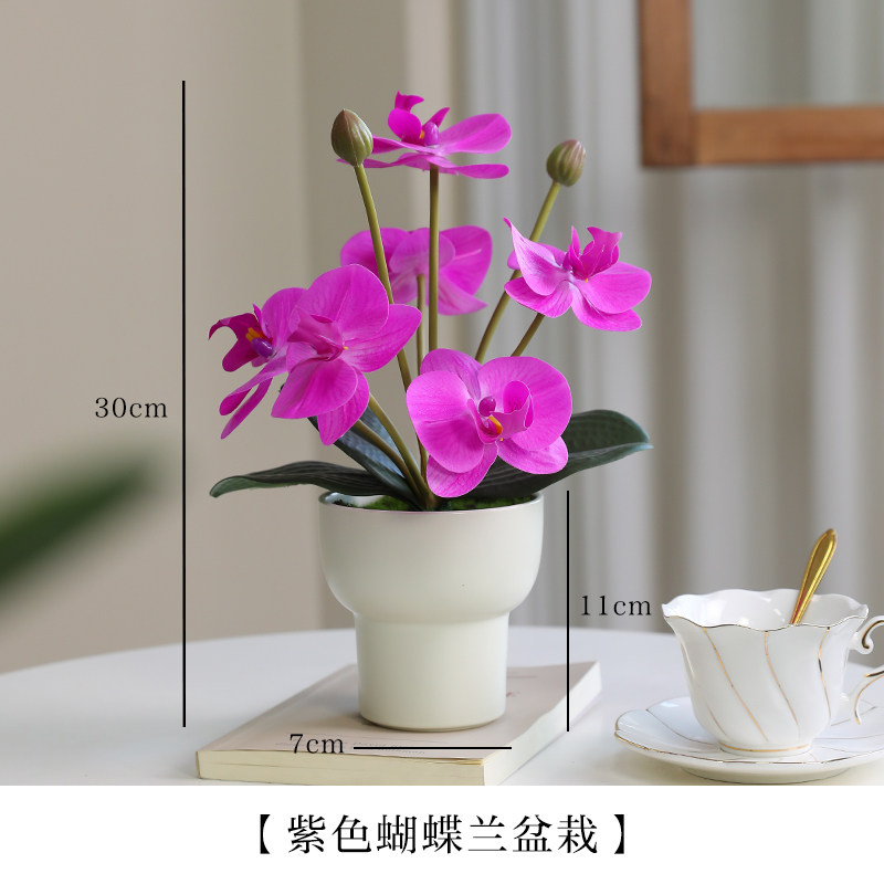 小众高货手感蝴蝶兰仿真花小盆栽假花客厅桌面盆景摆件玄关酒店摆