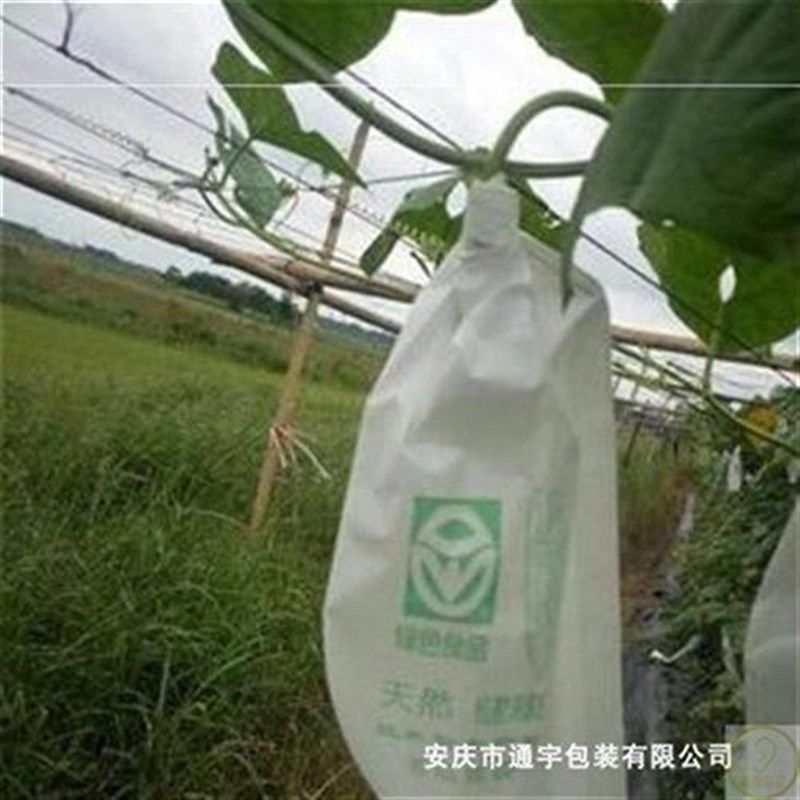 新品节瓜包袋防虫网蔬菜番茄丝瓜苦瓜套袋袋保护水果袋石榴果袋