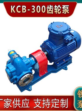 铸铁KCbB300齿轮泵 植物油电动输送泵 汽柴油抽油泵机油润滑油