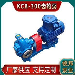 铸铁KCbB300齿轮泵 植物油电动输送泵 汽柴油抽油泵机油润滑油