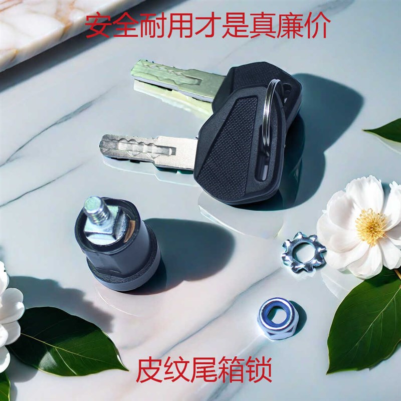 耐用型摩托车边箱锁皮纹尾箱锁电动车工具箱锁电瓶车后备箱锁芯