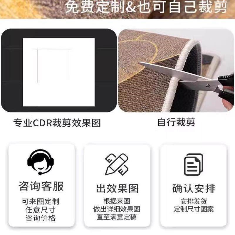 轻奢家用入户门地垫感门口进门垫脚垫防滑免打理地毯可裁剪