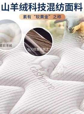 席梦思床垫软硬两用20cm经济型家用乳胶海椰棕马弹簧床垫租房专用