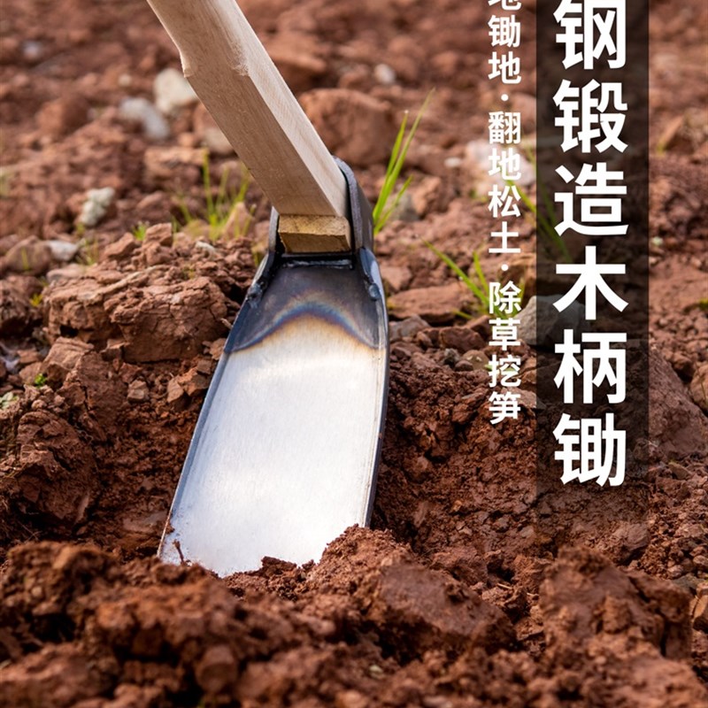 挖笋专用锄头家用种菜除草农用种地工具农具人工翻土松土神器老式