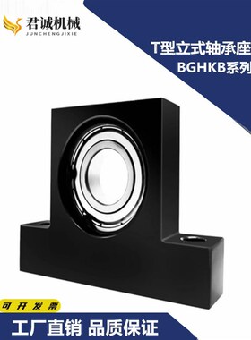 T型立式带座轴承座组件6800/6900/6000/6001/6200RZZ单轴承座BGHK