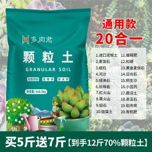 70%多肉专z用颗粒土 买5斤送7斤 多肉通用专用控型控色