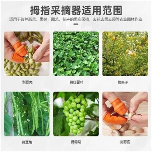 手指套摘菜李子花椒o护指套v拇指刀剥豆I子采果器择菜摘草莓枇杷