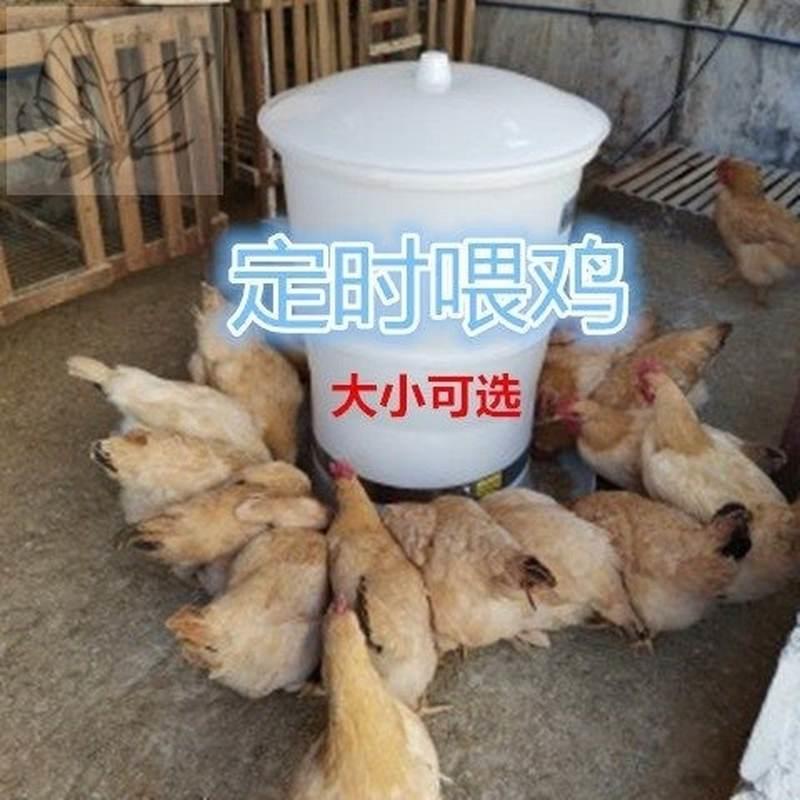 新品养鸡定时喂食器鸡鸭鹅全自动投料机喂鸡器自动智能养殖设备饲