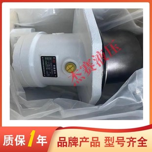 北京华德液压柱塞马达A2FE107W70Z11 A2FE160W70Z11质保一年 油泵