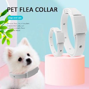 Remove Collar Flea Effectively Tick Dog 极速Anti Cat Pes For