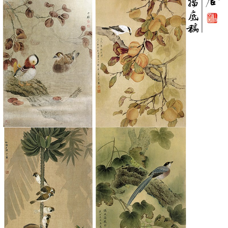 【无步骤】工笔画白描底稿周中耀花鸟一套四幅尺寸43*65厘米-04ZY