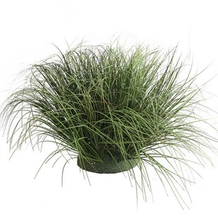 店铺装饰摆件假草堆景观芦苇草灌木草绿植园真植物造景真草垛