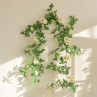 饰塑料Y挂壁植物遮 仿真雏菊花藤假花藤条空调暖气管道藤蔓缠绕装