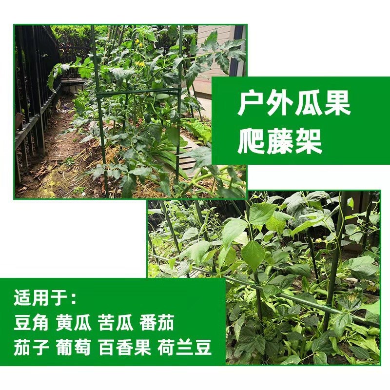 植物支架园艺包塑管黄瓜番茄爬藤杆包塑支柱杆子植物支撑杆