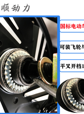 10寸新国标电动车电摩1000W1200W改装48V60V定制高速扭矩电机碟刹