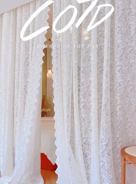 86M0复古铆钉珍珠蕾丝窗帘纱帘白色法式ins刺绣白纱X镂空欧式卧室