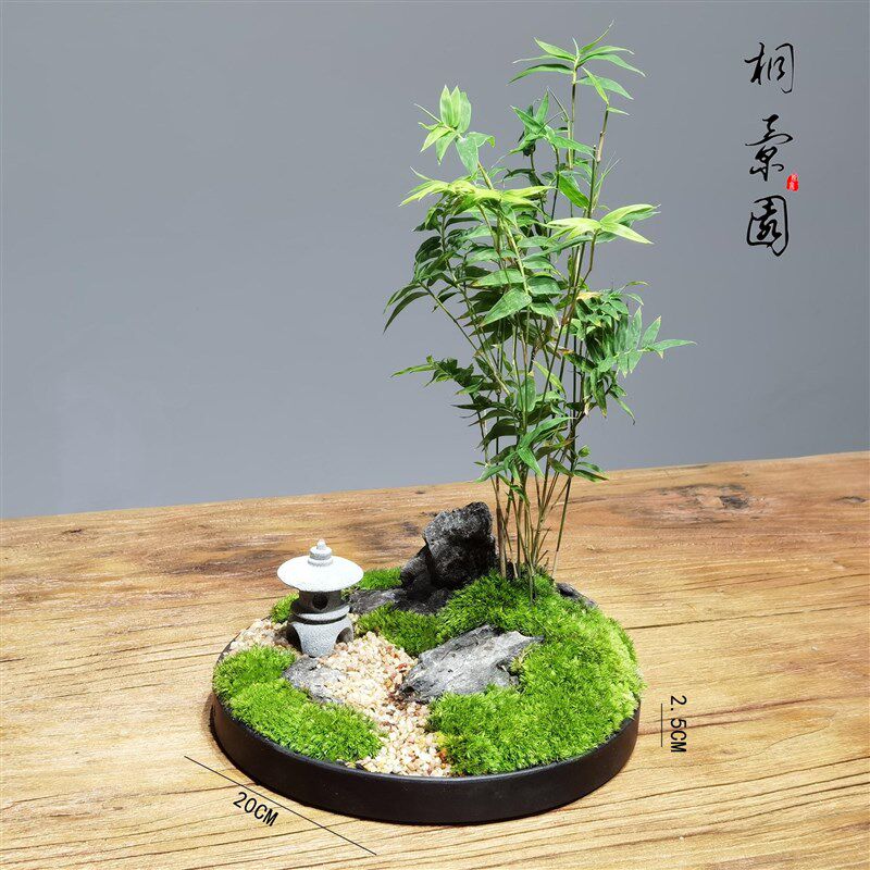 日式庭院苔藓微景观凤尾竹禅意盆b栽意境石景石亭桌面办公桌面盆