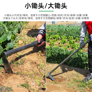 学生农业实践劳动锄头铲子铁锹耙子农用农具大 家用种菜工具h套装