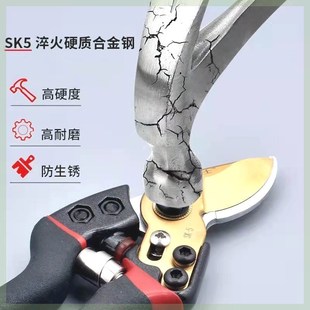 修羊蹄子剪刀修猪蹄钳子兽用剪蹄剪脚趾神器修羊牛蹄工具养殖用品