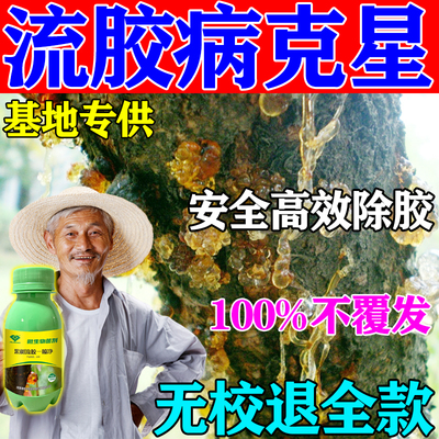 新品桃树流胶病专用药樱桃杏果树流胶除胶药疮痂修复除菌养护防治