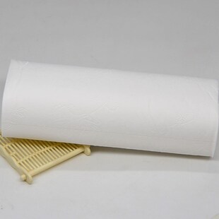 红林鸟卫生纸卷纸 木浆家用无y芯厕纸  10卷1400g 卷纸