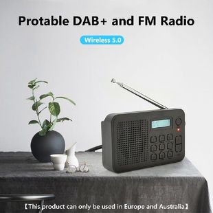 DAB Receiver and Radio With Portsable Multifunctional