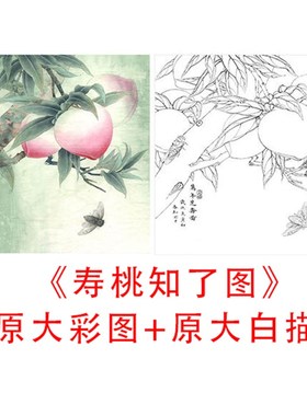 工笔花鸟专业白描底稿李晓明-万年芝寿图-线描临摹实物打印稿840C