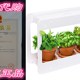Design Mini 推荐 Herb Win LED Home Indoor Mindful Garden