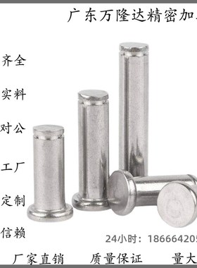 SHCCG SHCDG SHCCGH3 4 5 6 8 10-10 15 20 25 30铰链销CCG CCGH