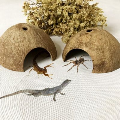 速发Reptile Hide Habitat Natural Coconut Shell Lizard Spider