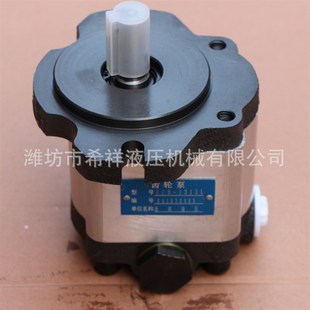 转向13助力泵 液压齿轮泵 各种大型机械专用齿轮泵