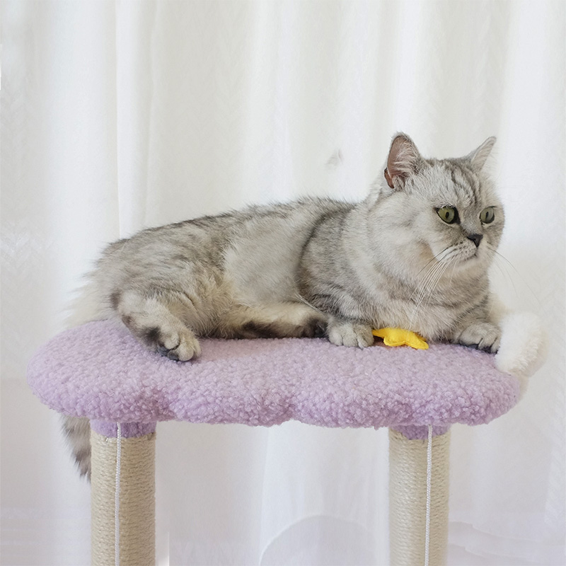 网红猫爬架小型猫窝猫树一体麻绳猫抓柱子猫跳台S猫咪玩具宠物用