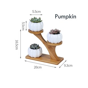 1 Set Ceramic Owl Garden Pots Modern Pumpkin Flowerpot Nurse