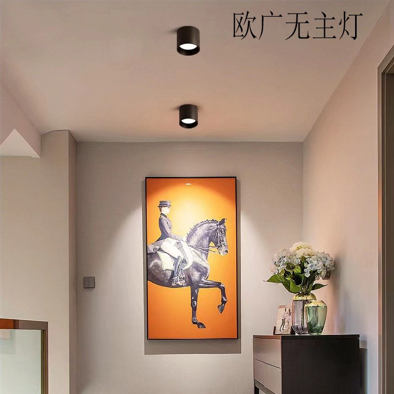 明装筒灯3寸4寸5寸8寸12w18w圆形吸顶灯商用店铺工程高铁站筒射灯