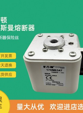 全新快速熔断器保险170M6343 170M6344 170M6345 170M6346