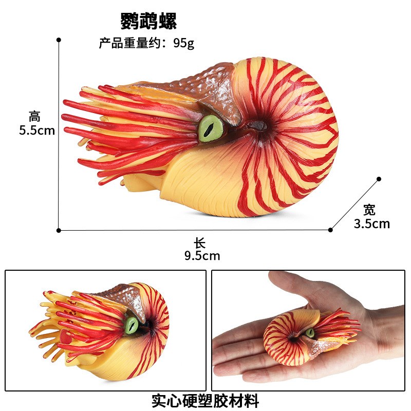小众高货厂家直销儿童仿真海洋动物模型玩具远古生物鹦鹉螺海螺鱼