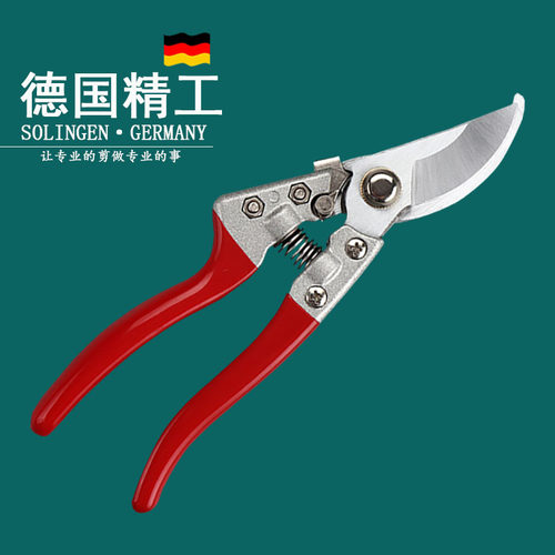 花剪园艺剪刀修枝剪修剪树枝剪刀园林工具剪枝剪刀枝剪果树修花剪