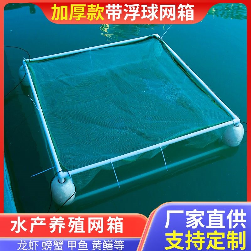 养鱼网箱加粗支架养殖网泥鳅黄鳝龙虾存鱼网箱育苗加厚全框架网箱