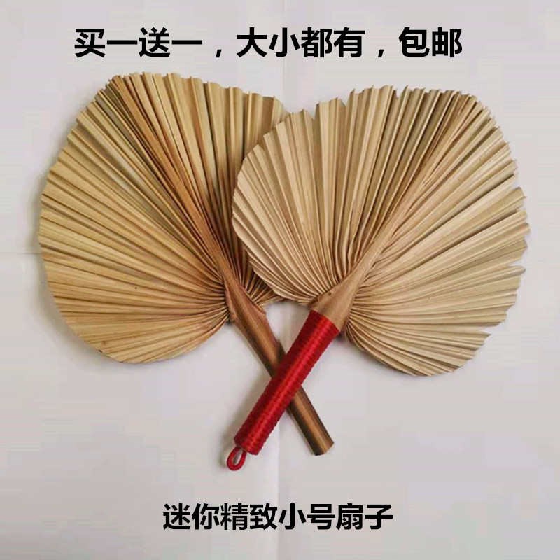 演出扇酒吧蹦迪扇大蒲扇芭蕉扇济公扇葵扇手工扇绘画扇题字扇绿扇