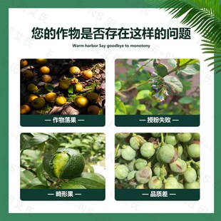 因艾氏B爆花挂果灵多开花开雌花增加座果率增产保花保果素营养什