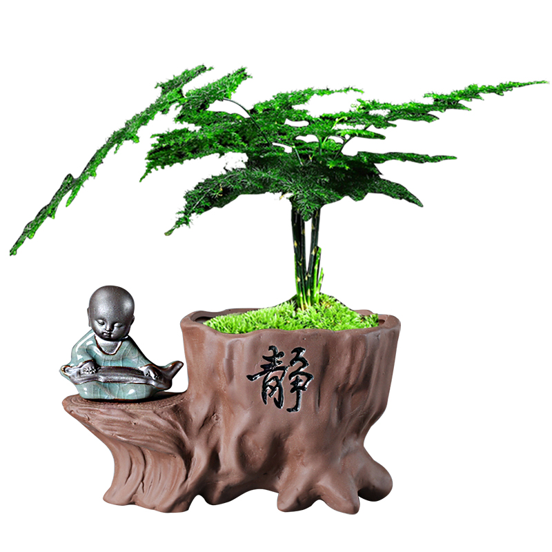 紫砂陶瓷花盆创意组合文竹盆栽客厅桌面禅意小和尚摆件菖蒲复古盆