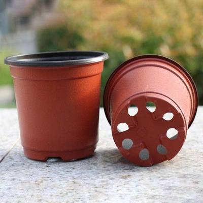 推荐Daily Flower Pot Large Head Exquisite Plant Nursery